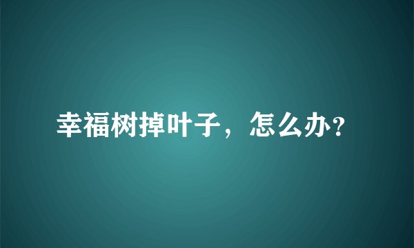 幸福树掉叶子,怎么办?