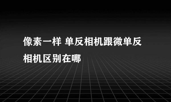 像素一样 单反相机跟微单反相机区别在哪