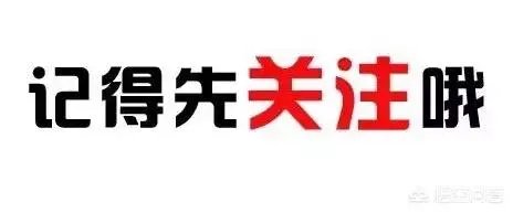 刚开始恋爱是什么感觉?