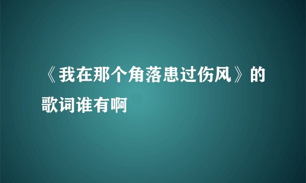 《我在那个角落患过伤风》的歌词谁有啊