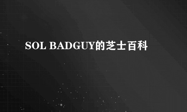 SOL BADGUY的芝士百科