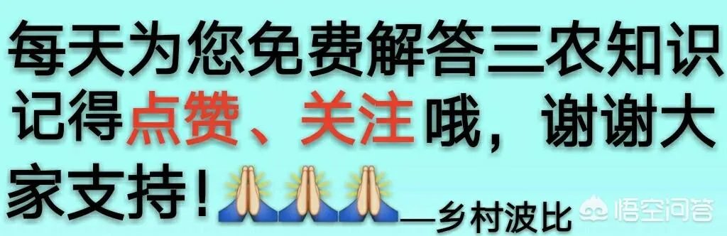 复合肥冬储价格行情如何？