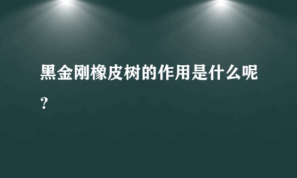 黑金刚橡皮树的作用是什么呢？