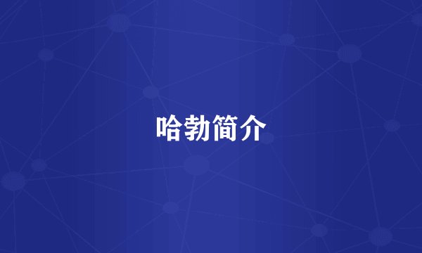 哈勃简介