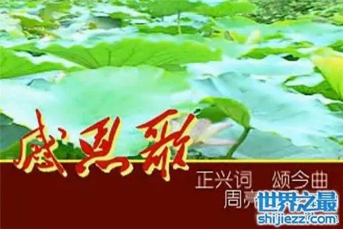 关于感恩的歌介绍,感恩催泪歌曲大全