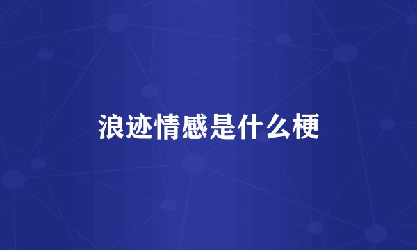 浪迹情感是什么梗