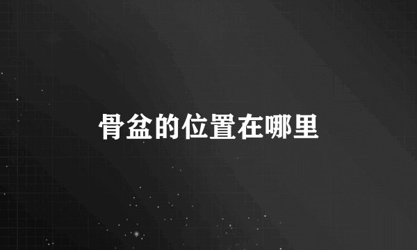 骨盆的位置在哪里