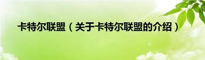 卡特尔联盟（关于卡特尔联盟的介绍）