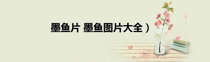 墨鱼片 墨鱼图片大全)