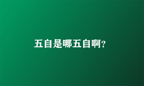 五自是哪五自啊？