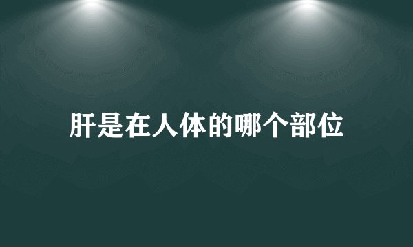 肝是在人体的哪个部位