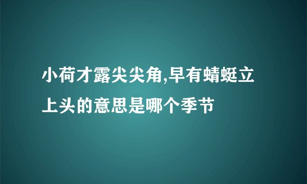 小荷才露尖尖角,早有蜻蜓立上头的意思是哪个季节