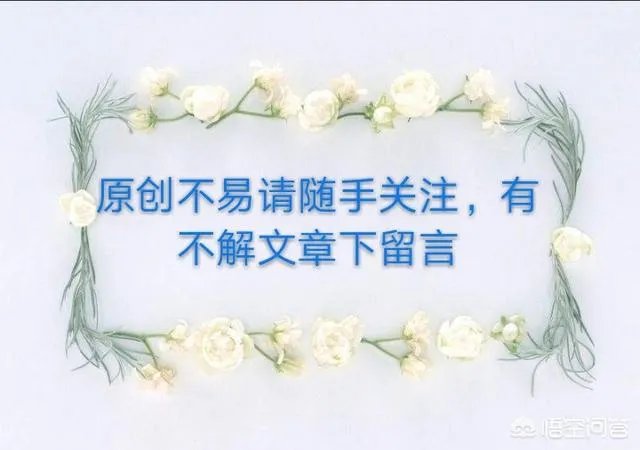 金钱树该怎么养?