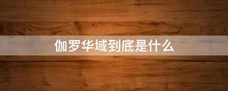 伽罗华域到底是什么