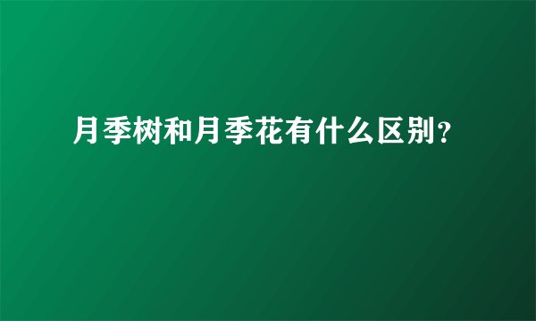 月季树和月季花有什么区别？