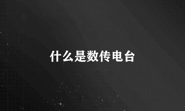什么是数传电台