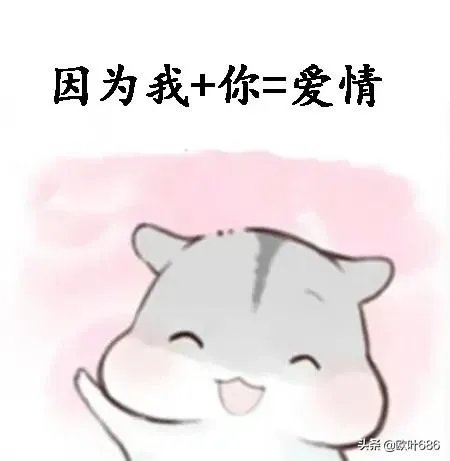 5 1等于多少