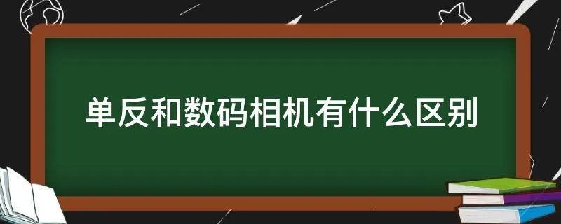 单反和数码相机有什么区别