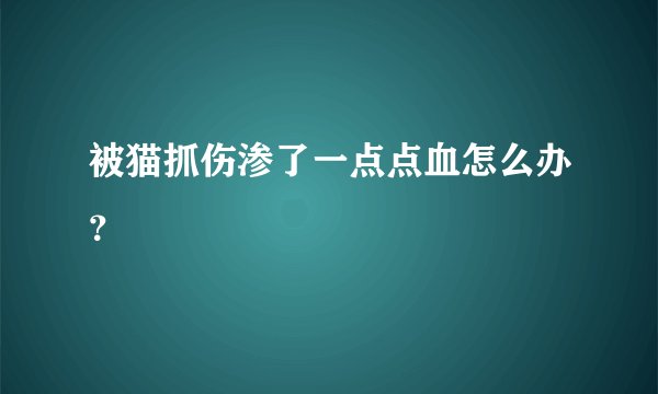 被猫抓伤渗了一点点血怎么办？