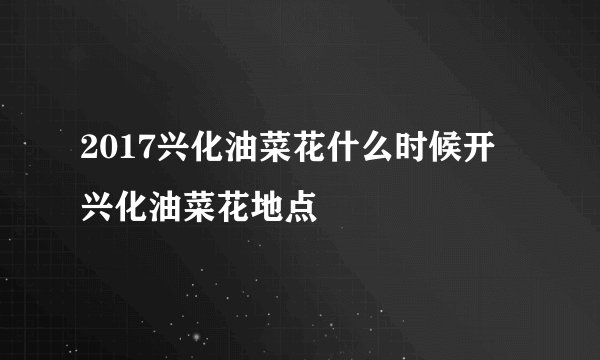 2017兴化油菜花什么时候开 兴化油菜花地点