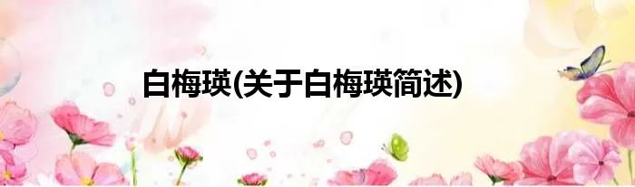 白梅瑛(关于白梅瑛简述)