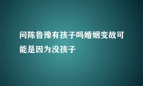 问陈鲁豫有孩子吗婚姻变故可能是因为没孩子