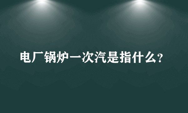 电厂锅炉一次汽是指什么?