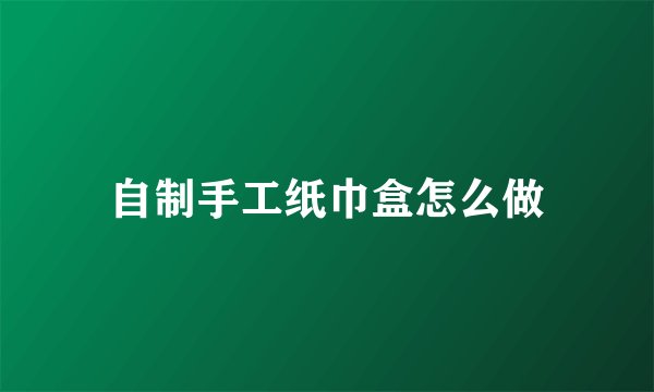自制手工纸巾盒怎么做