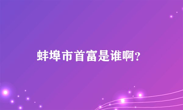 蚌埠市首富是谁啊？
