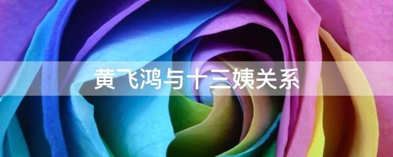 黄飞鸿与十三姨关系