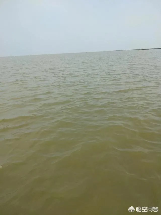 珠海适合钓鱼吗,有哪些好钓点?