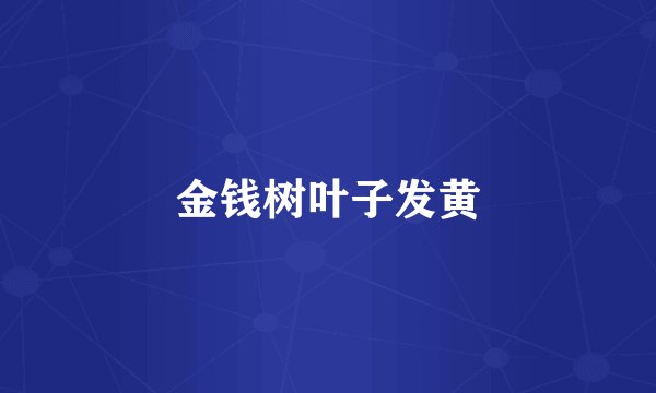 金钱树叶子发黄
