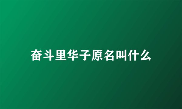 奋斗里华子原名叫什么
