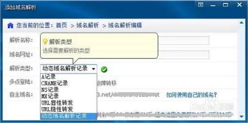 dnspod作用!