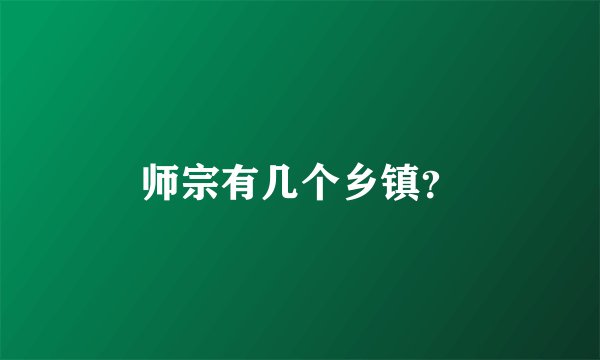 师宗有几个乡镇?