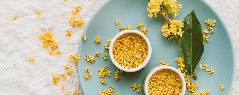 九月开什么花