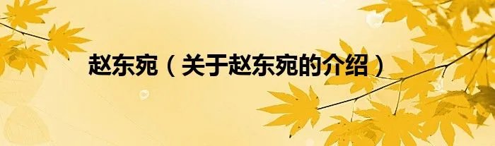 赵东宛（关于赵东宛的介绍）