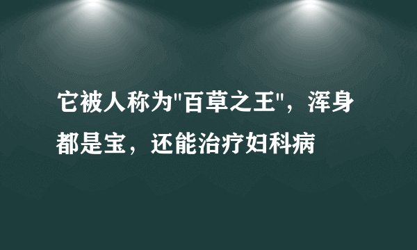 它被人称为