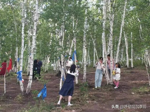 去呼伦贝尔大草原玩的旅游攻略?