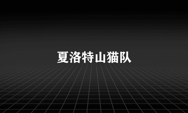 夏洛特山猫队