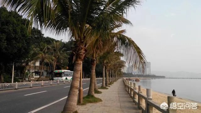 珠海情侣路为什么叫情侣路?