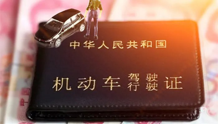 科目三考哪几项