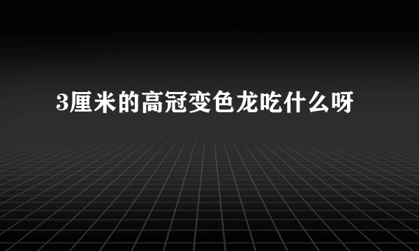 3厘米的高冠变色龙吃什么呀