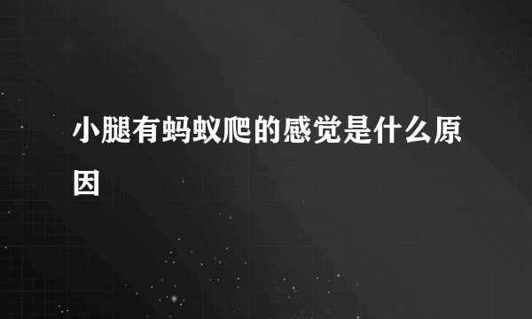 小腿有蚂蚁爬的感觉是什么原因