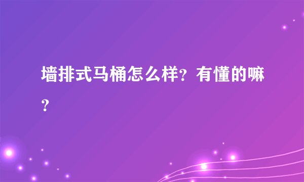 墙排式马桶怎么样？有懂的嘛？