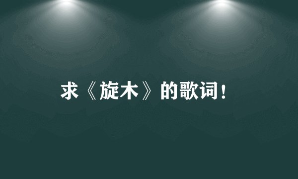 求《旋木》的歌词！