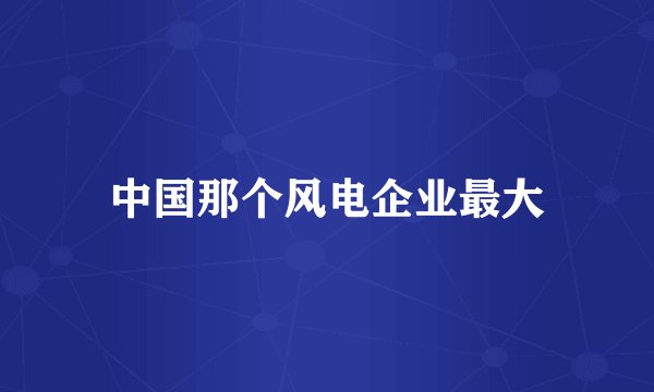 中国那个风电企业最大
