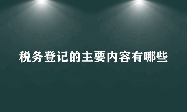 税务登记的主要内容有哪些