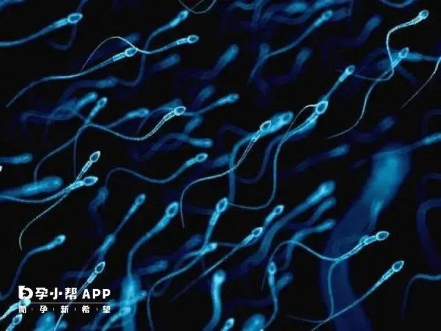 国内单身女性〇精子受孕是否合法?
