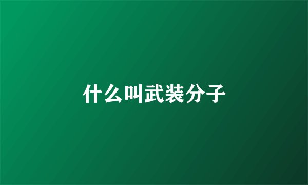 什么叫武装分子